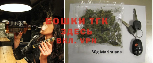 гашик Каменка