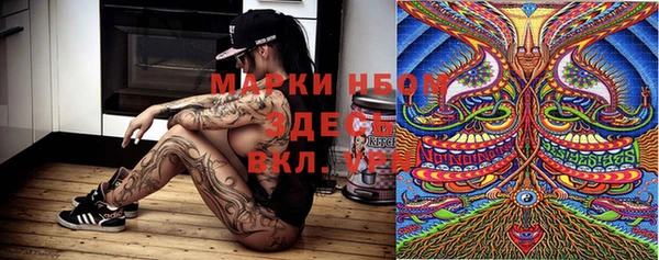 гашик Каменногорск