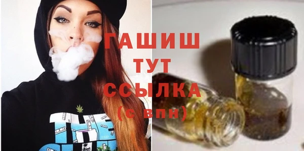 гашик Каменка