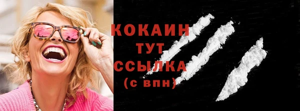 гашик Каменка