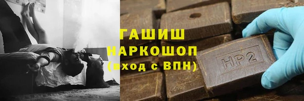 гашик Каменка