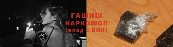 гашик Каменка