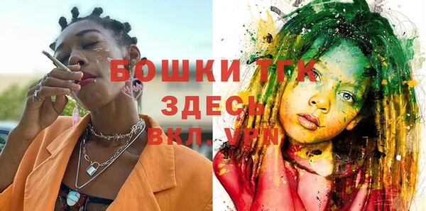 гашик Каменка