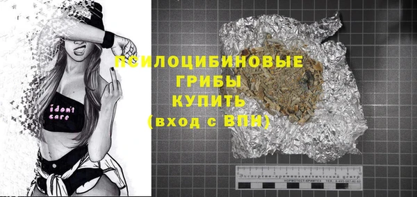 гашик Каменногорск
