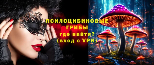 гашик Каменка