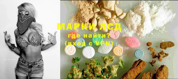 гашик Каменногорск