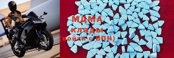 гашик Каменка