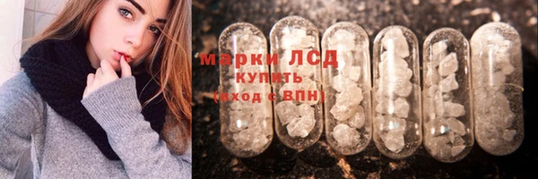 гашик Каменногорск