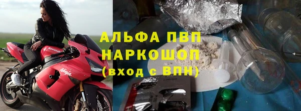 гашик Каменка
