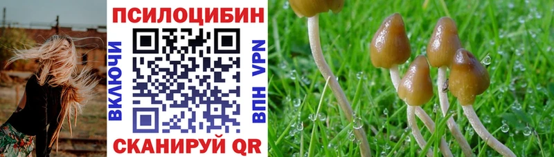 Купить закладки  Железногорск-Илимский  Псилоцибиновые грибы GOLDEN TEACHER 